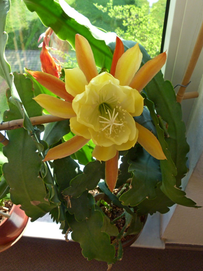 2014-05-30_0001